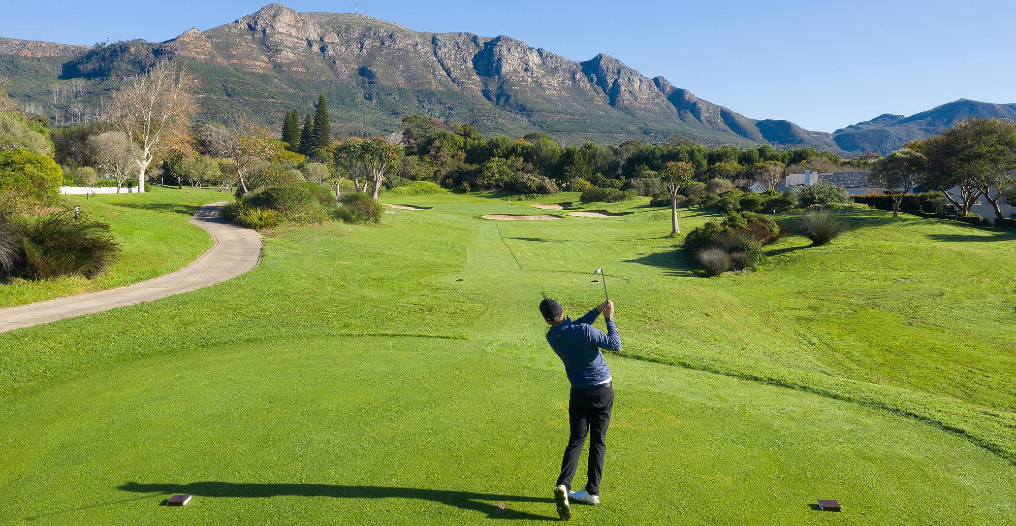 Steenberg_DRDJI_0261DavidRogers copy